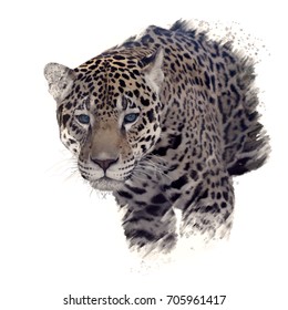 Digital Painting Of  Leopard Portrait