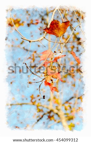 Similar – Foto Bild flammender Herbst…II