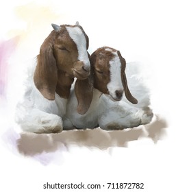 Digital Painting of  Young Boer goats