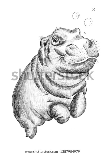 Digital Pencil Sketch Baby Hippo Stock Illustration
