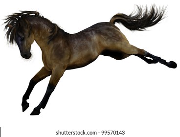 A digital render of a horse, grulla coat, bucking, isolated on white background.