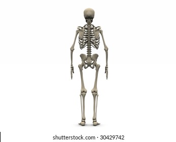 Skeleton Back View Images, Stock Photos & Vectors | Shutterstock