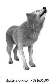 Digital Render Of A Polar Wolf Howling Isolated On White Background