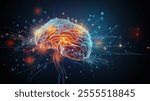 A digital rendering of a human brain showcasing neural pathways and connections as a complex network of light.