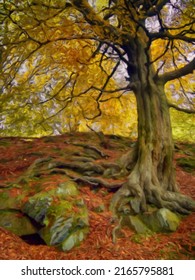 Digital Style Oil Painting Of And Autumn Forest Beech Tree With Green Textured Bark And Golden Yellow Foliage And Twisted Exposed Roots Amongst Moss Covered Boulders