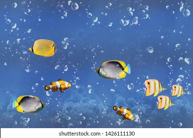Interior Aquarium Images Stock Photos Vectors Shutterstock