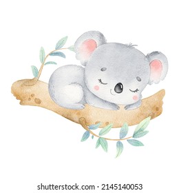 Digital Watercolor. Digitally Drawn Illustration Of Cute Cartoon Koala Sleeping Isolated On White Background. Little Cute Watercolor Animals.