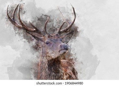 Digital watercolor painting of Beautiful image of red deer stag in colorful Autumn Fall landscape forest 