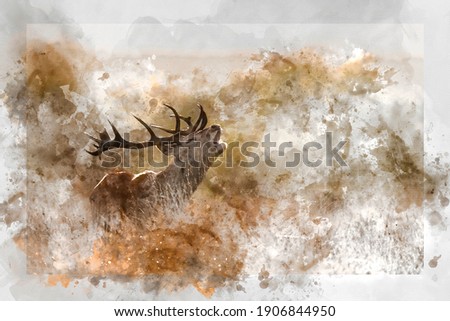 Digital watercolor painting of Beautiful image of red deer stag in colorful Autumn Fall landscape forest 