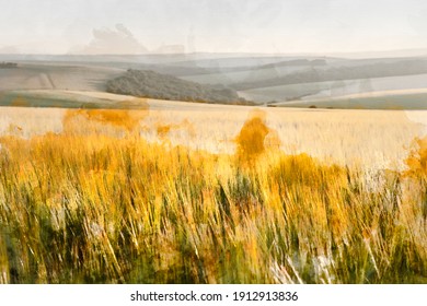 Digital watercolor painting of Beautiful late Summer afternoon light over rolling hills in English countryside landscape with vibrant warm light and shallow depth of field