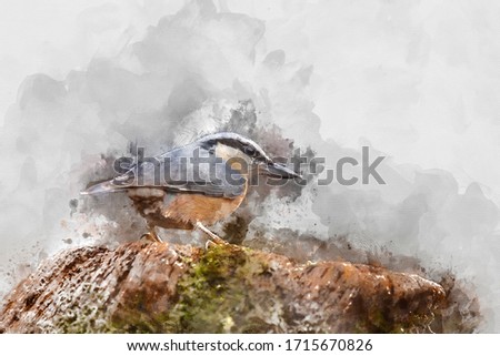 Digital watercolor painting of Beautiful on Nuthatch garden bird Sitta Europaea in Spring sunshine on branch in tree