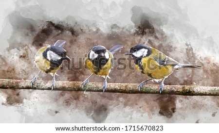 Digital watercolor painting of Beautiul Great Tit bird Parus Major on branch in Spring sunshine in garden
