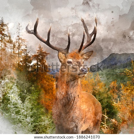 Digital watercolor painting of Epic Autumn Fall landscape of woodland in with majestic red deer stag Cervus Elaphus in foreground