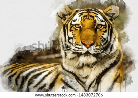 Digital watercolor painting of Tiger. Digital art. Digital watercolour painting of Beautiful image of a Tiger King relaxing on a warm day. Isolated painting of Cute Tiger. Abstract Animal Wallpaper