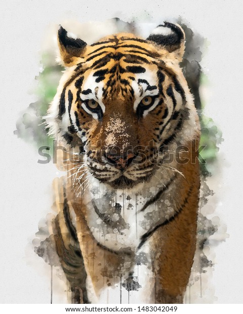 Abstract Tiger Watercolor Painting Painting Inspired