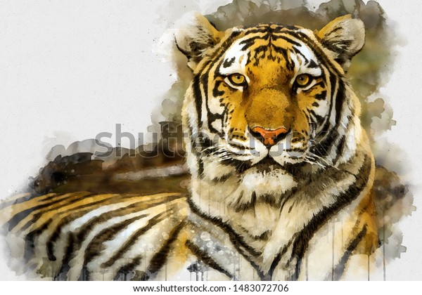 Digital watercolor painting of Tiger. Digital wallpaper art. Digital watercolor painting of Beautiful image of a Tiger King relaxing on a warm day. Isolated painting of Cute Tiger. Abstract Animal Wallpaper.