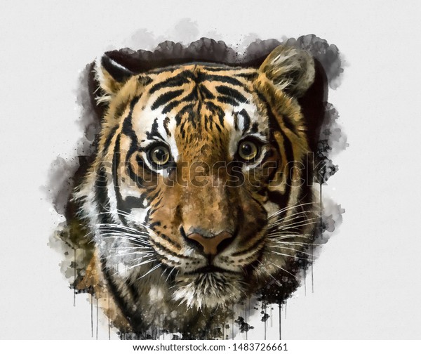 虎のデジタル水彩画 デジタルアート 熱い日にくつろぐ虎の王様の美しい画像を描いたデジタル水彩画 かわいい虎の単独画 抽象的な動物の壁紙 のイラスト素材 1483726661