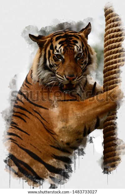 Abstract Tiger Watercolor Painting Painting Inspired