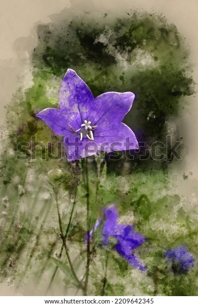 Digital watercolour image of Stunning image of harebell\
Campanula Rotundifolia purple flower in English country garden\
landscape 