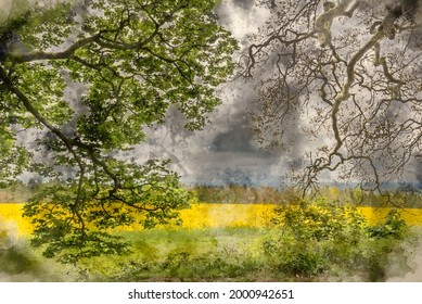 Digital watercolour painting of Beautiful agricultural canola rapeseed field in English countryside landscape on Spring morning