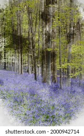 Digital watercolour painting of Beautiful soft spring light in bluebell woods in English countryside during calm mornng