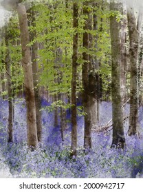 Digital watercolour painting of Beautiful soft spring light in bluebell woods in English countryside during calm mornng