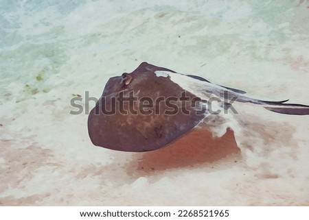 Digitally created watercolor painting of a common stingray flying across the sandy ocean floor