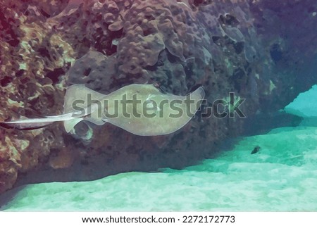 Digitally created watercolor painting of a common stingray flying through the coral reef