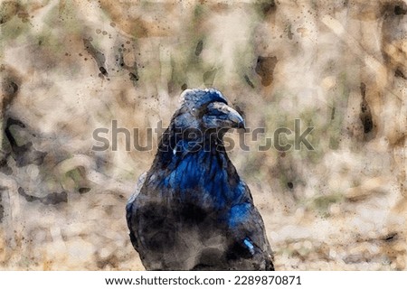 Digitally created watercolor painting of a common black raven in Yellowstone National Park