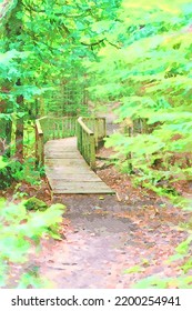 Digitally Created Watercolor Painting Of A Hiking Trail Through Estivant Pines A Nature Sanctuary Of Old Growth Trees