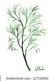 Dill, Watercolor Illustration