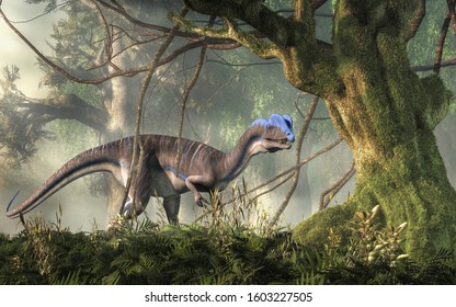 dinosaur with two crests on head