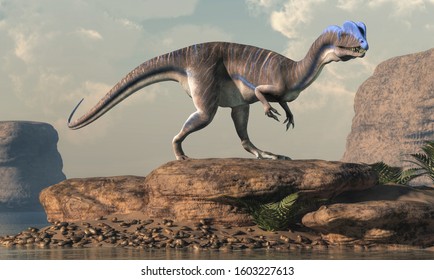 dinosaur with two crests on head