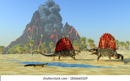 Dimetrodon Dinosaur Fight 3d illustration - A Diplocaulus dinosaur watches as two Dimetrodon reptiles fight over territory and mating rights.