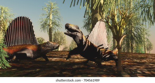 Dimetrodon Permian Reptiles 3d illustration - Dimetrodon reptiles have a territorial dispute over which animal is stronger and braver in the Permian Age.