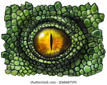 Dinosaur And Dragon Eye With Scales. Watercolor Drawing.
