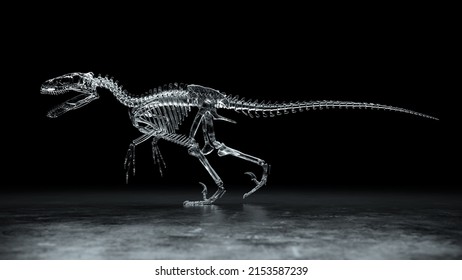 Dinosaur Skeleton On Dark Background 3d Stock Illustration 2153587239 ...