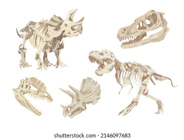 Dinosaur Skeleton Watercolor Illustration. Paleontology Sketch.