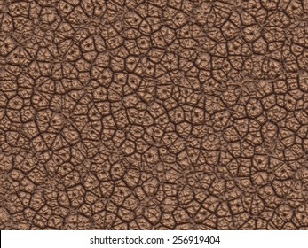 Dinosaur Skin Texture