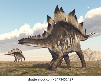 Dinosaur Stegosaurus in a landscape
Computer generated 3D illustration