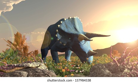 Dinosaur triceratops eating jurassic 