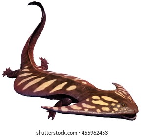 Diplocaulus 3D Illustration