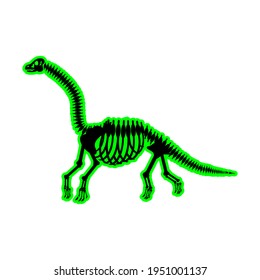 Diplodocus Skeleton Drawing On White Background