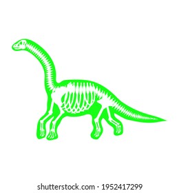 Diplodocus Skeleton Drawing On White Background