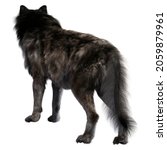 Dire wolf on isolated background, 3D illustration, 3D rendering