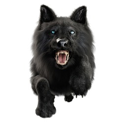 Dire Wolf On Isolated Background, 3D Illustration, 3D Rendering