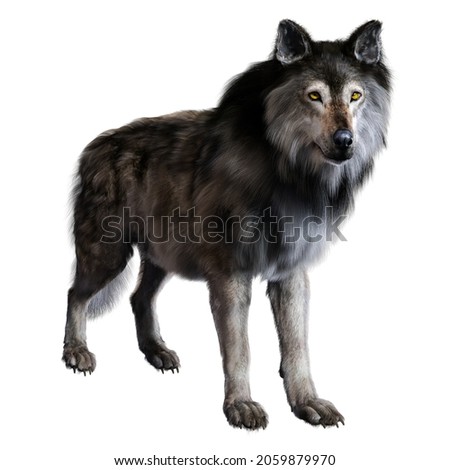 Dire wolf on isolated background, 3D illustration, 3D rendering [[stock_photo]] © 