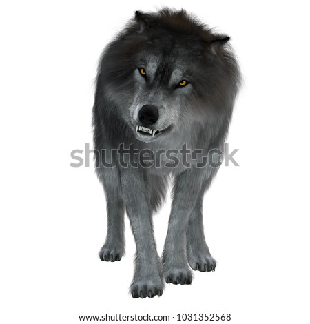 Dire Wolf on White 3d illustration - The Dire Wolf was a prehistoric carnivore that lived in North and South America during the Pleistocene Period. [[stock_photo]] © 