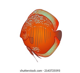 Discus Fish Illustration Design Logo Stock Illustration 2143725593 ...