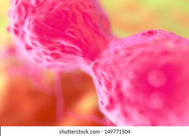 Dividing Breast Cancer Cell